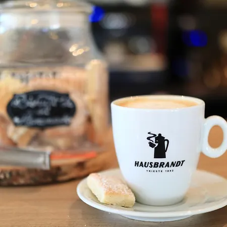 Casa Calfelor Kolping 3* טימישוארה