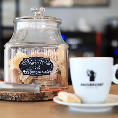 Casa Calfelor Kolping Temeşvar