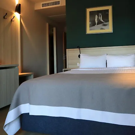 Casa Calfelor Kolping Otel Temeşvar