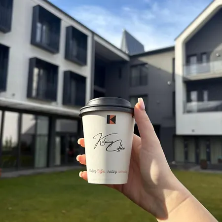 Casa Calfelor Kolping Hotel Timisoara