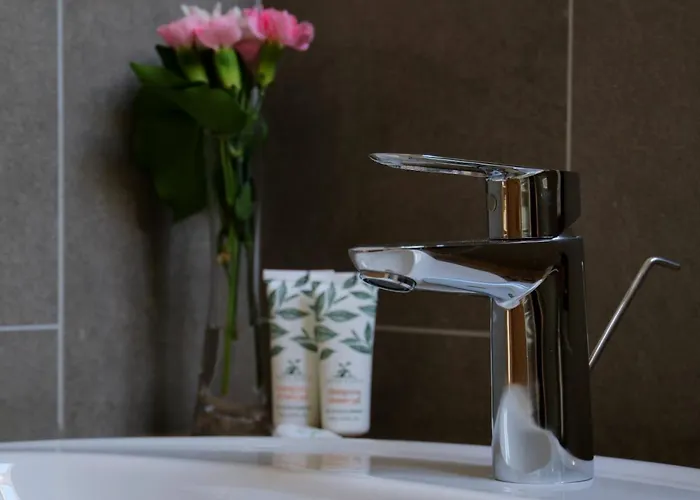 Casa Calfelor Kolping 3* تيميشورا