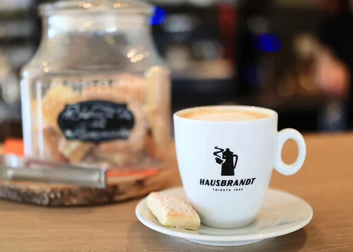 Casa Calfelor Kolping 3* Timişoara