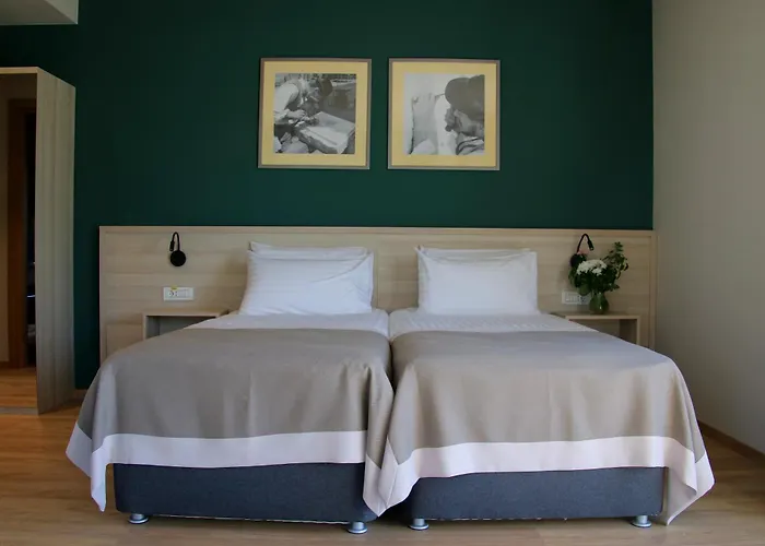 Casa Calfelor Kolping 3* تيميشورا