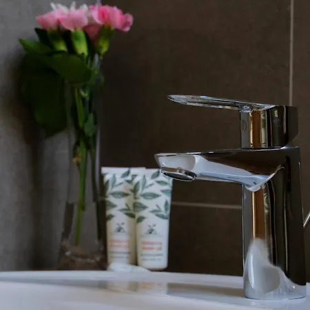 Casa Calfelor Kolping 3* Timişoara